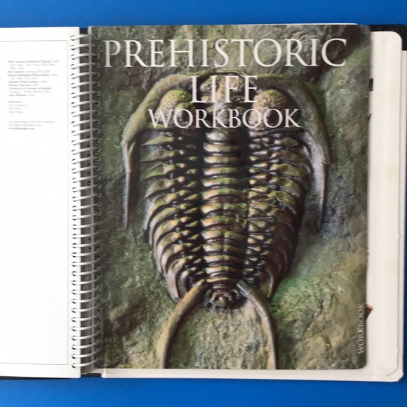 DK Eyewitness Books: Prehistoric Life - Picture 6 of 10